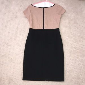 Ann Taylor Dress